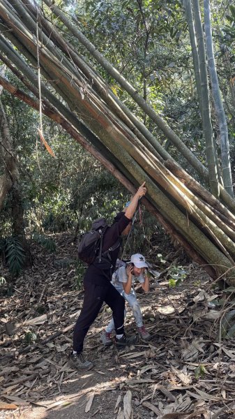 20260212 小百岳白雲山及西阿里關山3002900