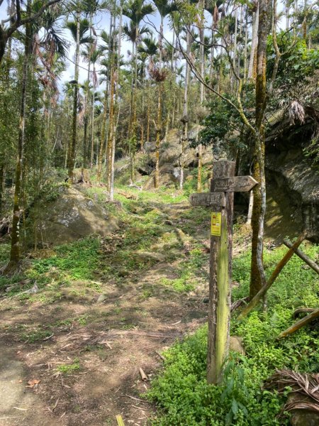 雞籠山.大凍山937405