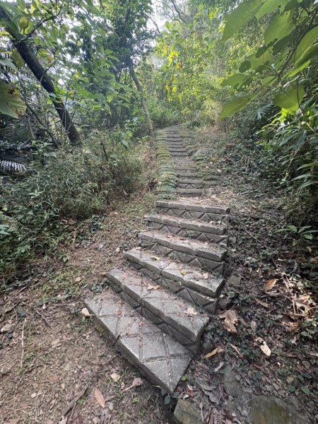 20251101烏山縱走北段 雲山寺至刣牛湖山(途經風空子山.孟璋山.烏山.刣牛湖山北峰)2928756