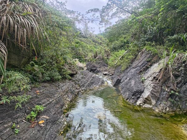 虱石山、岳亞那山連走岳亞那山西北峰、竹腳山2507223