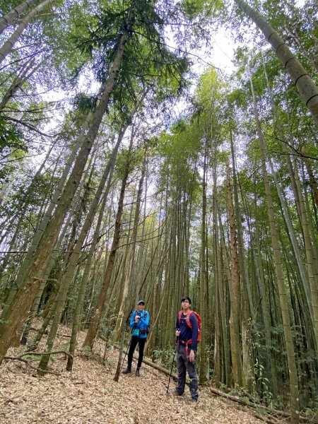 龍鳳、龍鳳峽、三叉崙、內樹皮、水桶寮、羊頭崙、志騰、竹崙、溪頭山九連峰縱走  2022/1/11570345