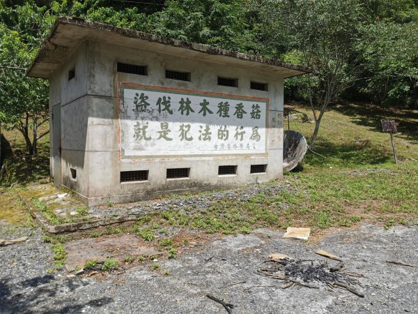 北三段縱走-能高安東軍的終點-奧萬大步道1019583