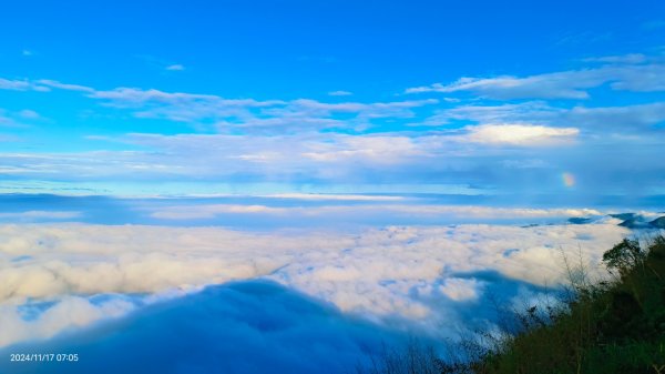 阿里山 #隙頂二延平 #頂石棹 #觀音圈 #雲海 #琉璃光 #雲瀑 #霧虹 11/172649753