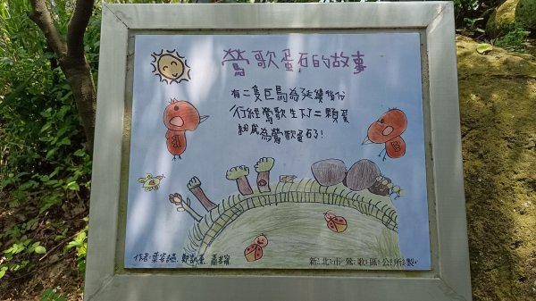 (姨婆趴趴走)第十集:攀登新北鶯歌蛋山，鶯歌郊山步道群縱走(二)2167991