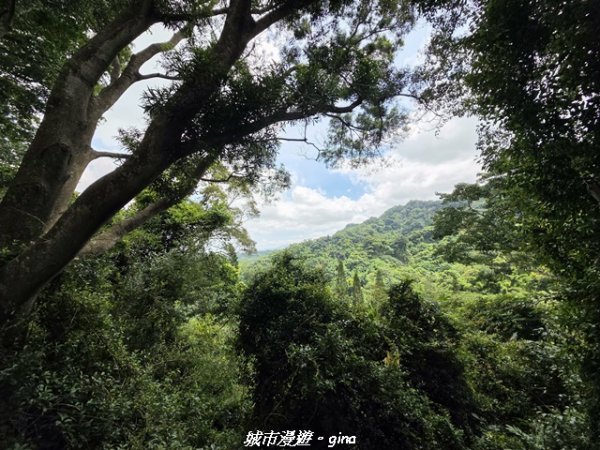 【台中北屯】大坑1號步道3095064
