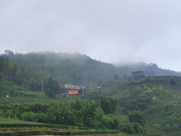 【雲嘉】後棟山連走大二尖山1478490