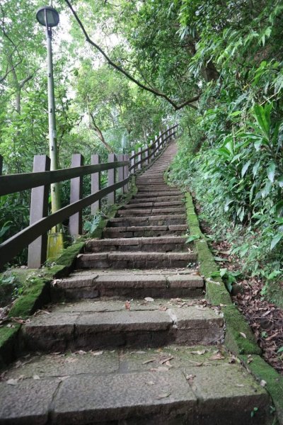 小百岳NO.13南港山，南港山北峰，九五峯2285602