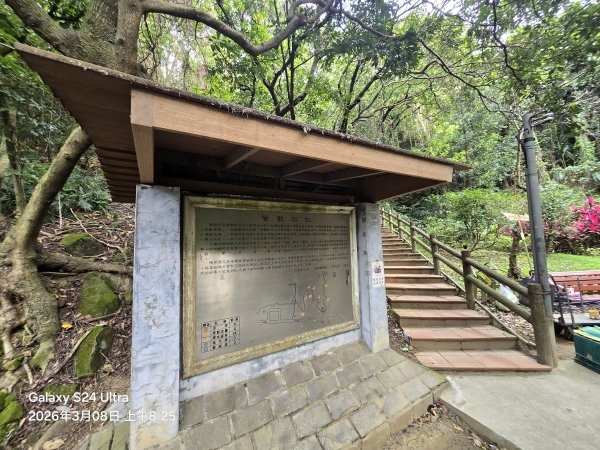 2026-03-08微笑山線：【大棟山系】百年大榕樹段3011670