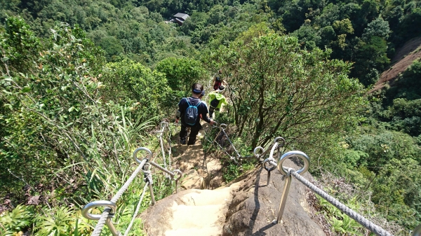 孝子山 ．慈母峰．普陀山．中央尖52636