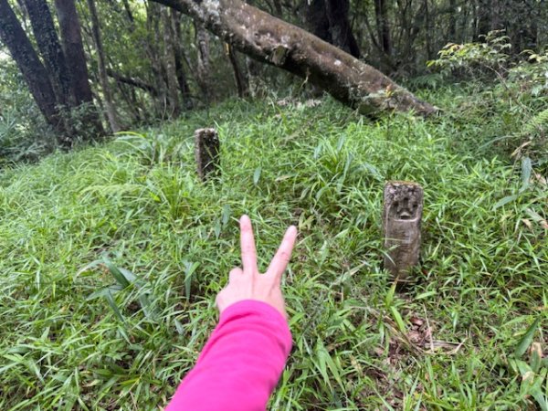 2025-08-30 豎旗山西北稜上-豎旗山-烏山古道西段下2874136