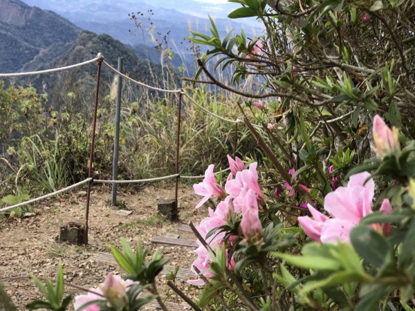 110年1月22日苗栗 馬那邦山1425229