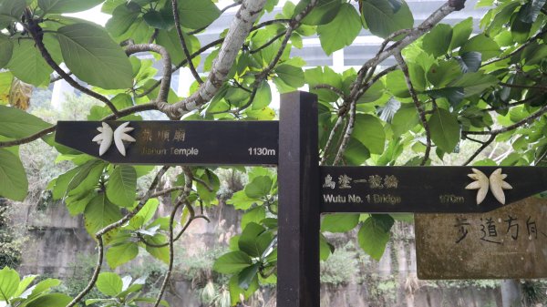 獵貍尖步道連走烏塗溪步道登山健行趣(淡蘭南路TK3-6&TK3-5&TK3-4)2404546