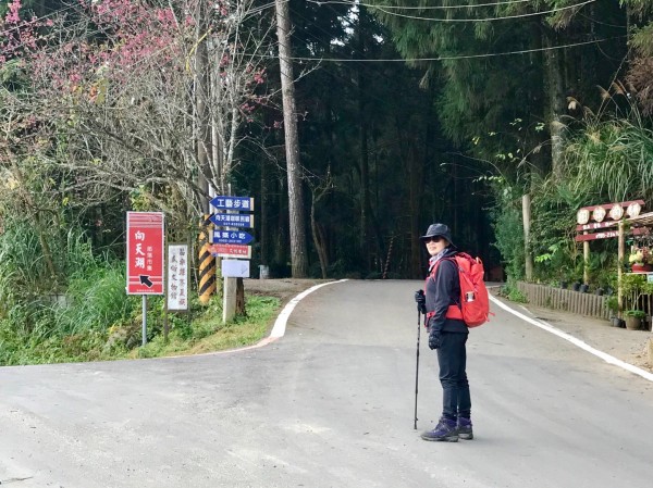 南庄向天湖環山步道256100