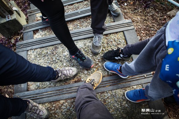 新田登山步道~聚興山1406412