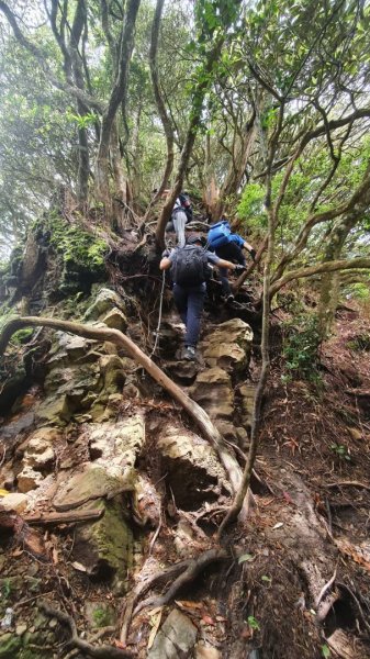【中級山縱走】高島縱走（高台山，小島田山，中島田山，大島田山）2740963