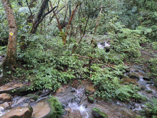 新北三貂嶺瀑布群步道3106292