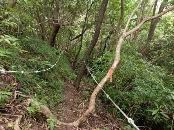平溪區平溪子山遇雷雨O型2850142