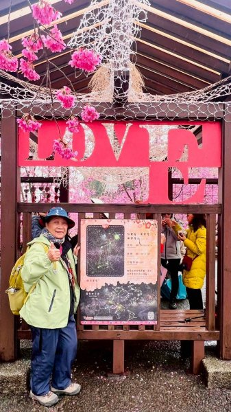 🌈3/1（日）福壽山農場~千櫻園✨FB：熊熊趴爬走🌈3008555