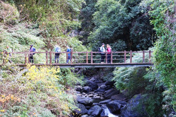 【戀戀楓紅】霞喀羅賞楓行2675621