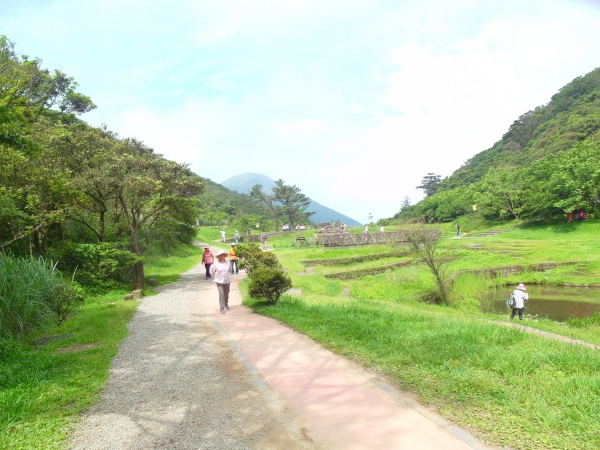 二子坪 面天山 向天山步道 大屯山西峰39755