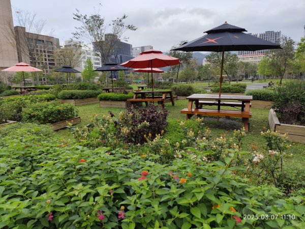 內湖大港墘公園、西湖圖書館、湖光教會、737巷美食街封面