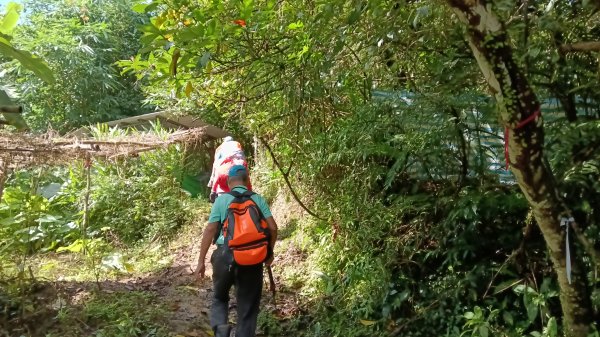 雙溪區竹子山-南勢坑山去回3077209