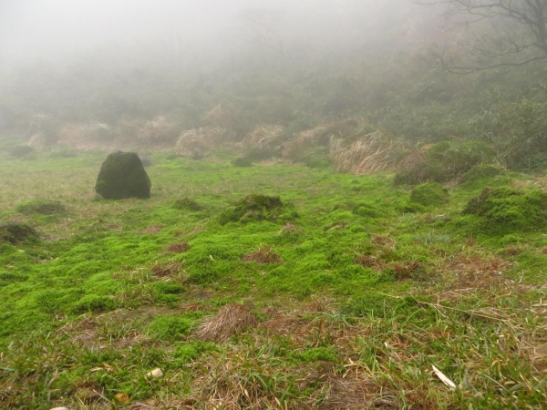 雲霧中遊走七星山之美33428