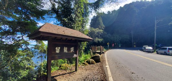 2022-10-15金柑樹山、忘憂森林步道1880341