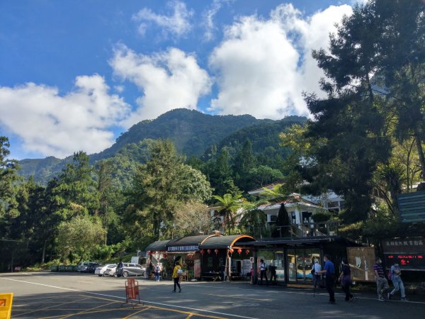 漫步溪頭森林遊樂園步道。享受森林浴&芬多精洗禮1494949