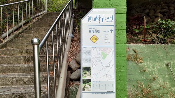2026樟之細路 | 第一大段 | 三坑~關西 | RSA01~113041137