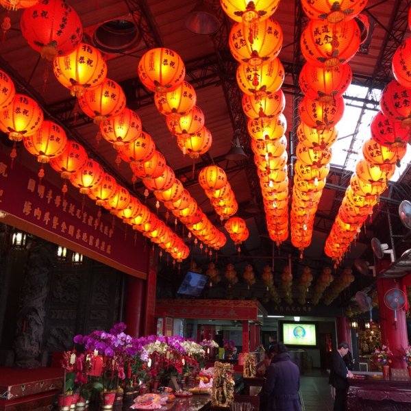 北縱七段抓了10隻博蒂742214