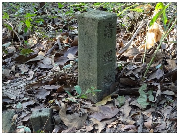 泰安登山步道/縱走后里車站1277042