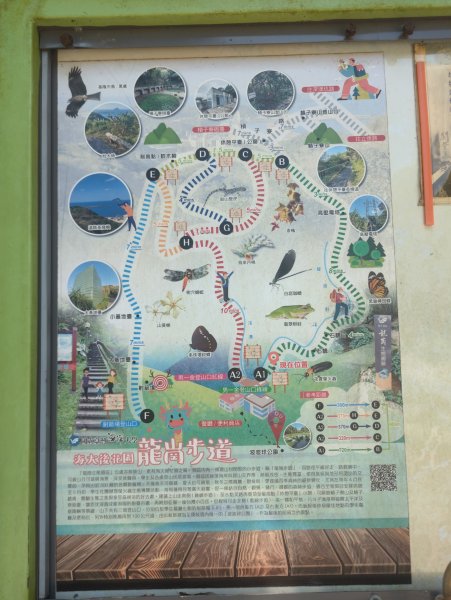2026.08.29－龍崗步道&槓子寮砲台3114340