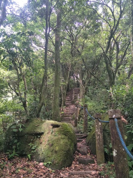 2021 05 11 獅仔頭山登山步道1384418