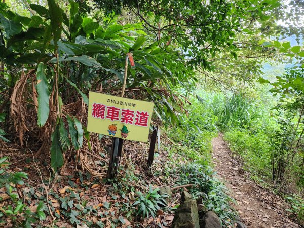 關西赤柯山、東獅頭山步道2395165