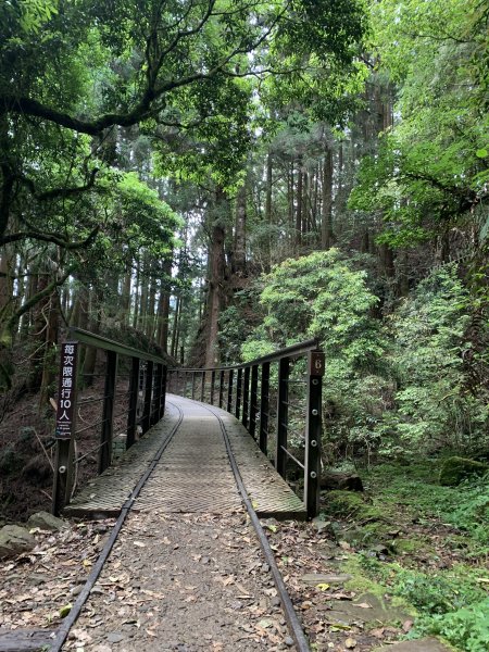 20250517義義兒玉山-東水山2791722