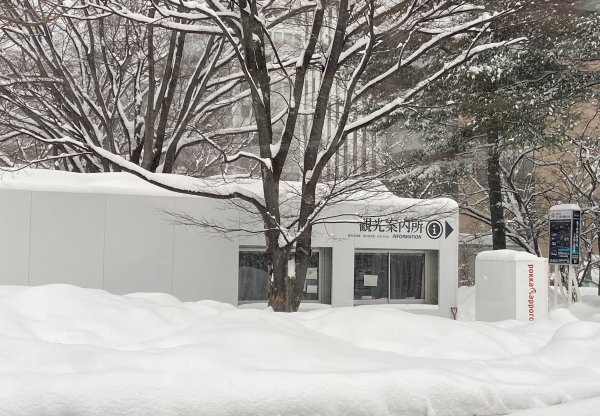 北海道------雪祭3001946