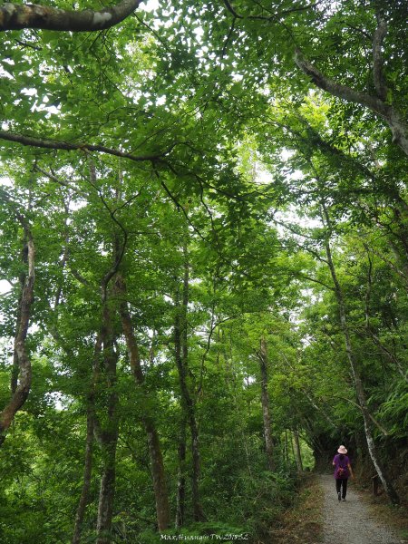 《宜蘭》小太魯閣｜礁溪林美石磐步道201805172889157