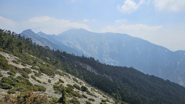 【閒閒南橫摘星去！】百岳#077關山嶺山。美麗壯闊中卻帶點淡淡哀愁的南橫公路。3036086