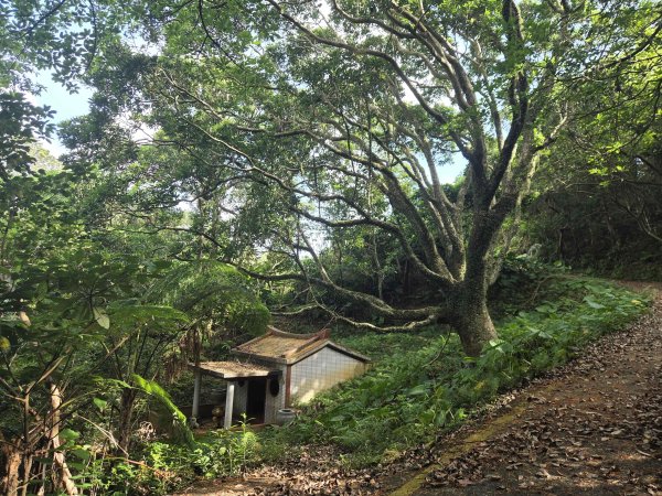 20260806金坑溪步道-頂草埔尾山-三界壇聖德宮-法鼓山-拾浪咖啡3101453