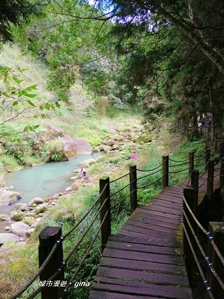 沐浴山林芬多精。 杉林溪穿林棧道1274722