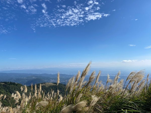 陽明山：大屯主峰-連峰步道2452784