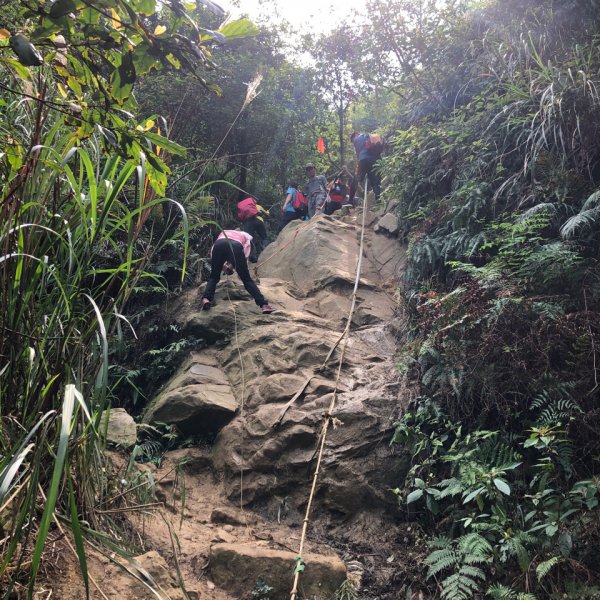 【北台灣郊山之王「瑞芳劍龍稜」 攀爬峭壁岩稜翻山越嶺驚險行】1337541