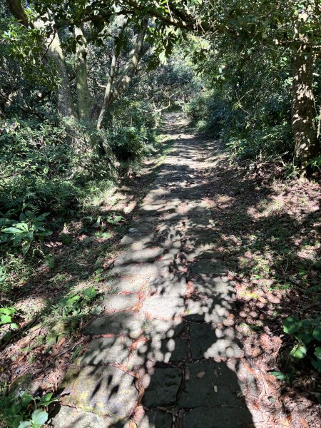 面天山、向天山、向天池2921032