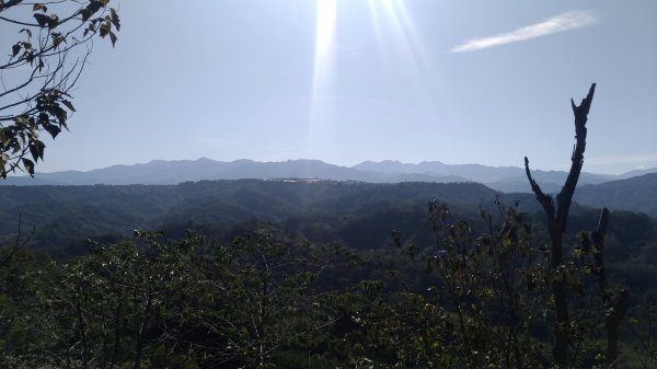 新田登山步道-聚興山1377614