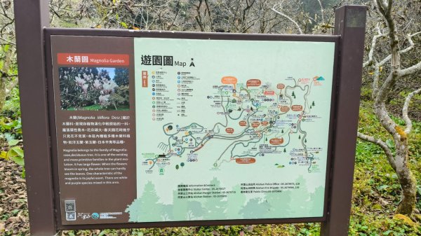 神阿縱走~台灣難抵極~大塔山2971521