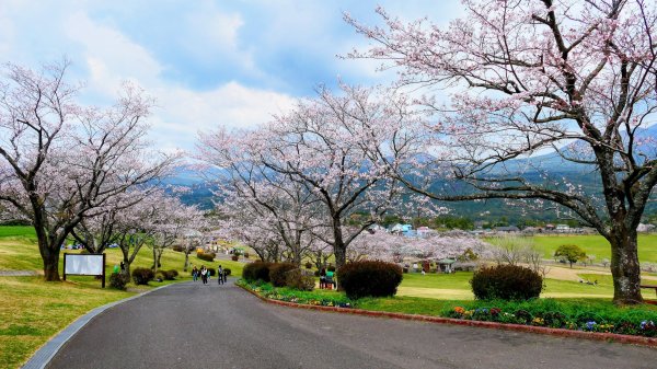 鹿兒島高千穗牧場3028179