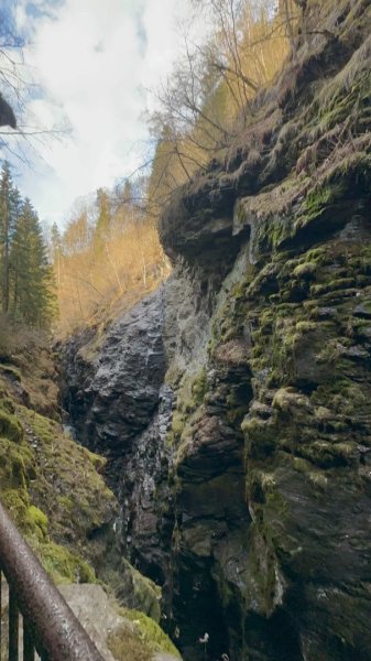 挪威🇳🇴Voss峽谷秘境2810348