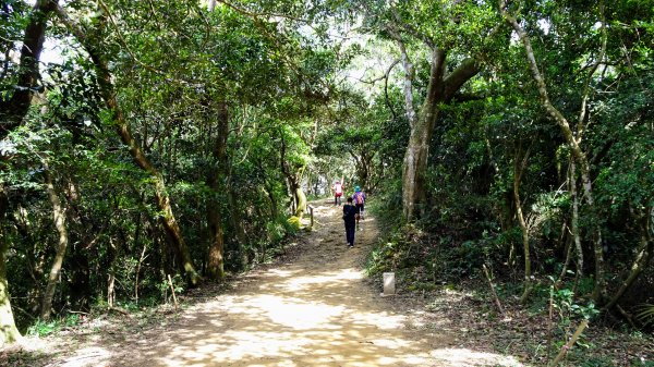 今天，我想來點飛鳳山，叮咚。1142052