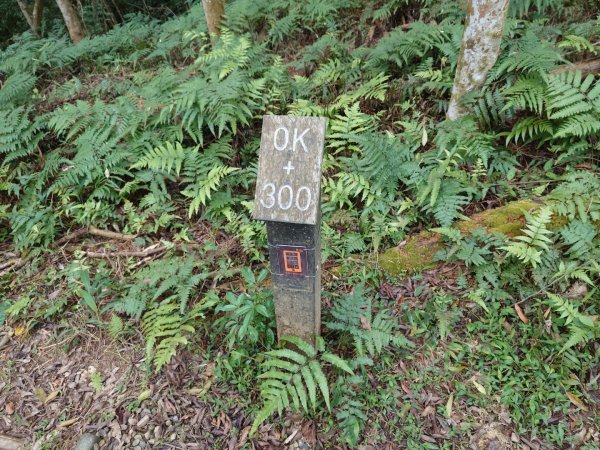 拳頭姆自然步道3007200